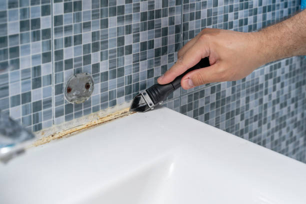 Best Professional Mold Removal  in Pepper Pike, OH